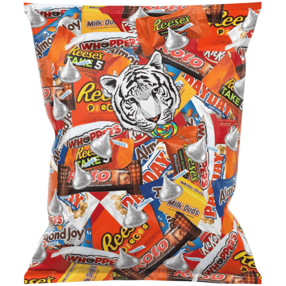Assortiment de chocolats en vrac, emballés individuellement, idéal pour les fêtes, Halloween, les vacances, les cadeaux de Noël, les collations de bureau, 2 lb, 4 lb, 6 lb