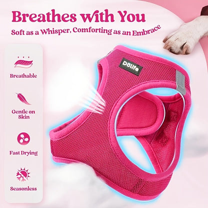 Harnais et laisse pour petits chiens et chiots - Harnais gilet respirant, réfléchissant, doux et léger anti-traction avec laisse assortie XS S M L XL