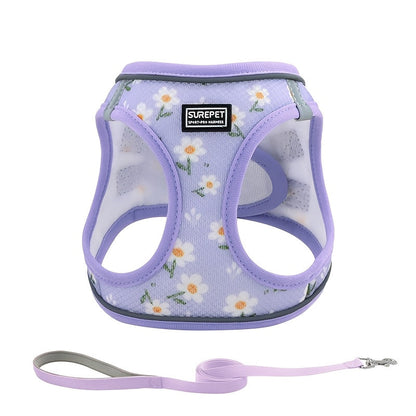 Ensemble harnais anti-traction et laisse pour chiens de petite à moyenne taille - Harnais gilet réglable en maille douce et réfléchissante pour chiots, pour la marche, la course et le dressage, harnais pour animaux anti-fugue