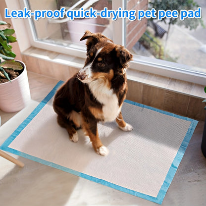 Alèses super absorbantes pour chien 60x60 cm pour le dressage des chiots et l'usage en intérieur – Alèses d'apprentissage anti-fuites et anti-odeurs, paquets économiques de 50 / 100 / 200 / 400 unités