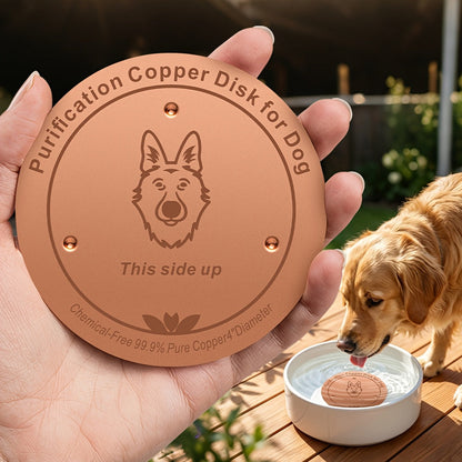 Bol à eau pour animaux en cuivre pur, cuivre à 99,9 % purifiant naturellement l'eau, pour chiens, chats et bétail, filtration physique réutilisable, aucun remplacement de filtre nécessaire