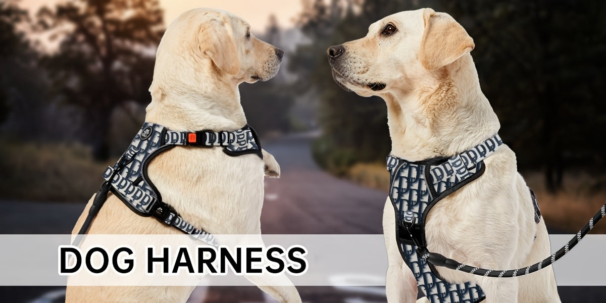 Ensemble harnais anti-traction pour chien avec laisse rétractable, ceinture de sécurité et collier – Harnais gilet entièrement réfléchissant, réglable et respirant avec poignée pour petits et grands chiens, tailles XS–XL