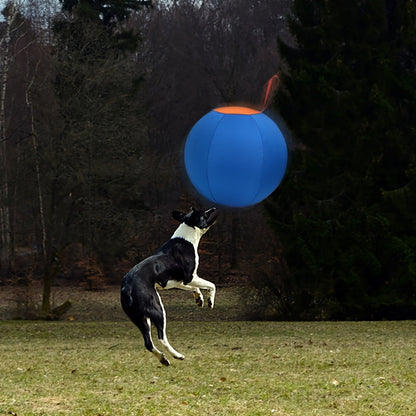 Balle de jeu résistante à la mastication pour chiens – Jouet durable pour le rapport et le dressage, idéal pour Golden Retriever, Bouledogue, Shiba Inu, Corgi et Berger Australien, pour le jeu en autonomie et l'obéissance.