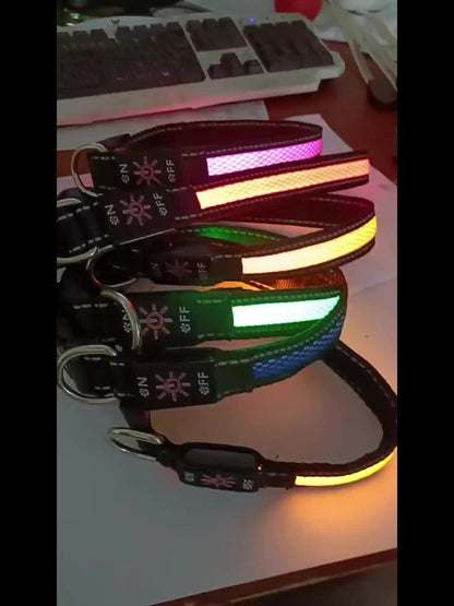 Collier pour chien à LED rechargeable par USB en maille souple – Collier de sécurité lumineux réglable pour chiens de petite, moyenne et grande taille, 5 couleurs bleu vert rose rouge jaune, tailles XS à XL pour les promenades nocturnes