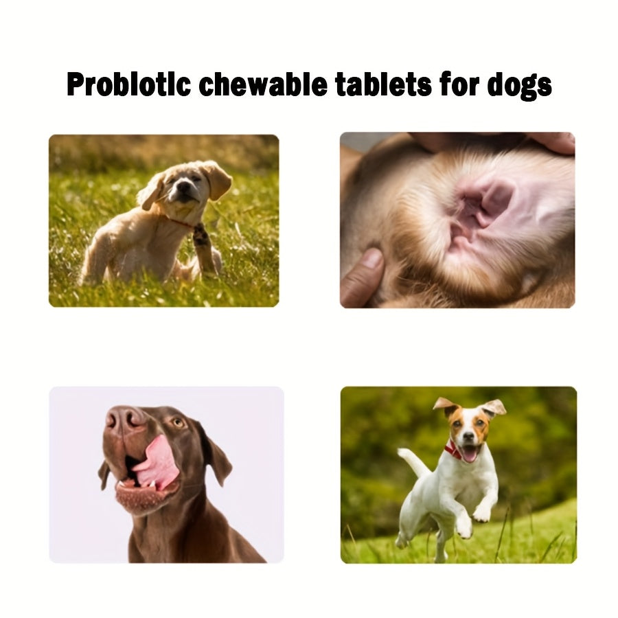 Friandises probiotiques et prébiotiques à mâcher pour chien, ingrédients naturels, soutient la santé intestinale, la digestion et la qualité de vie - 1 paquet ou 3 paquets, meilleur rapport qualité-prix