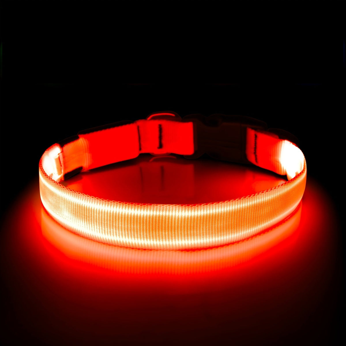 Collier lumineux pour chien à LED, rechargeable par USB - Collier de sécurité ajustable en nylon avec boucle en D pour petits, moyens et grands chiens, haute visibilité pour les promenades nocturnes