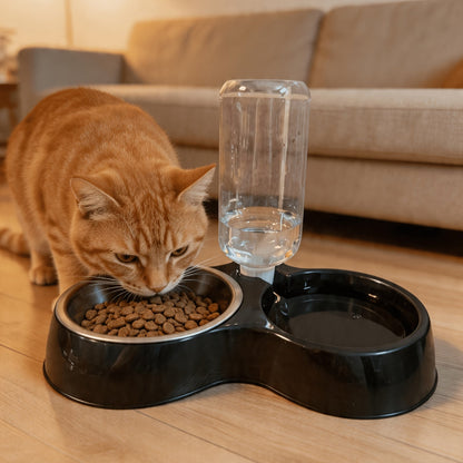 Ensemble de bols pour animaux inclinés et antidérapants – Conception ergonomique inclinée pour chats et chiens, sans pile, favorise une posture saine, station de nourriture et d'eau facile à nettoyer pour animaux d'intérieur