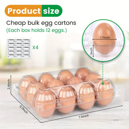 Lot de 60 boîtes à œufs transparentes en plastique, 12 alvéoles avec étiquettes – Boîtes à œufs en PET en gros pour la cuisine, l'élevage, la ferme avicole, le marché fermier et le stockage au réfrigérateur, capacité d'une douzaine d'œufs standard