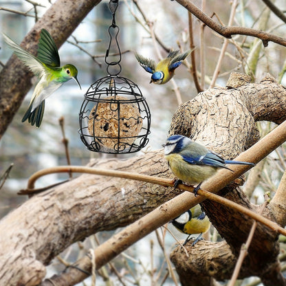 Lot de 4 mangeoires à oiseaux suspendues pour l'extérieur, stations de nourrissage pour oiseaux sauvages avec crochets, ensemble pour balcon et jardin, support de mangeoire suspendu durable pour petits oiseaux, colibris et oiseaux chanteurs