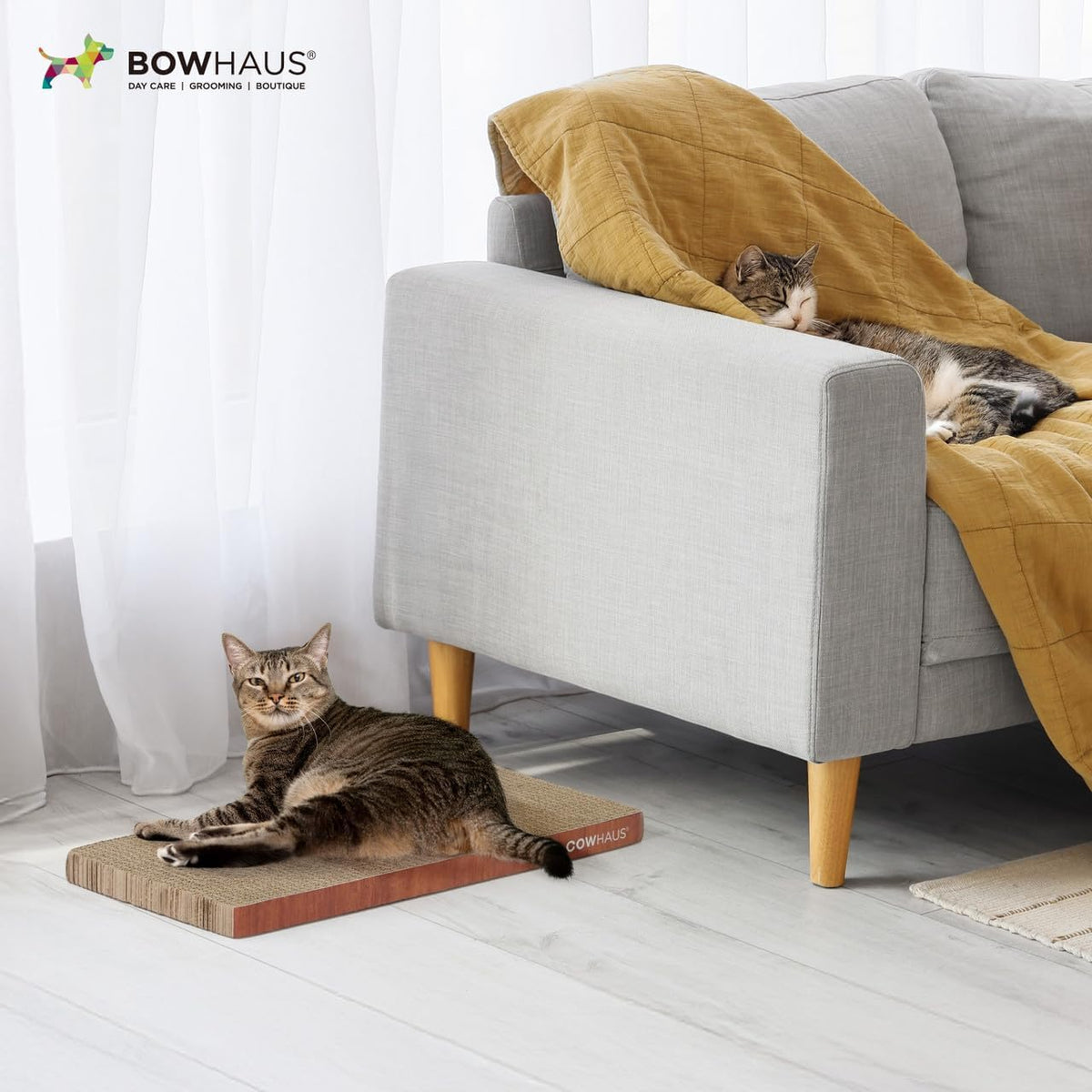 CAPHAUS Griffoir et transat réversible pour chat – Grand tapis à griffer en carton haute densité à 5 couches, 43 x 21,6 cm, protège les meubles, convient aux foyers avec plusieurs chats et aux races de grande taille