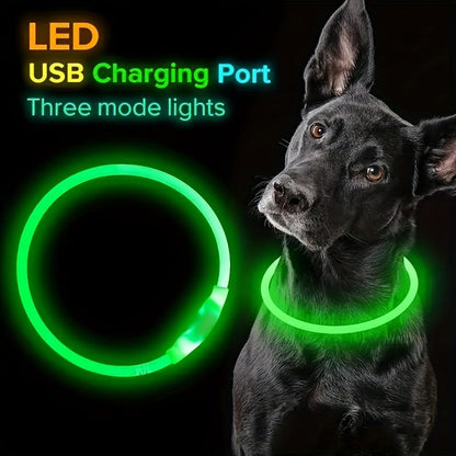 Collier pour chien à LED rechargeable par USB, collier lumineux pour la sécurité nocturne, adapté aux chiens de petite, moyenne et grande taille – Collier pour animal de compagnie étanche en PVC, phosphorescent avec chargement USB