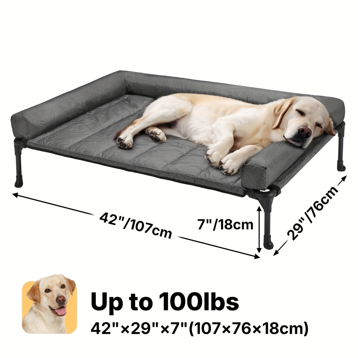 Lit surélevé rafraîchissant pour chien avec matelas amovible – Canapé pour chien surélevé avec rebords, filet respirant et pieds antidérapants pour une utilisation en intérieur et en extérieur