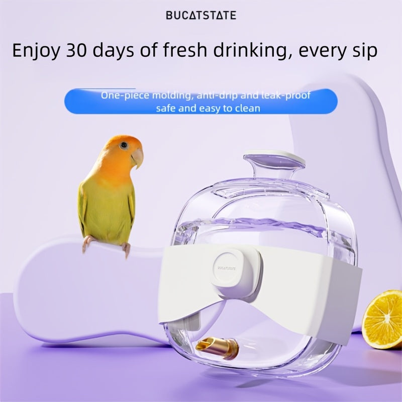 Bouteille d'eau pour cage à oiseaux – Abreuvoir anti-goutte grande capacité de 440 ml avec embout à aiguille en métal pour calopsittes, perruches, inséparables et petits oiseaux, mangeoire anti-goutte fixable à la cage