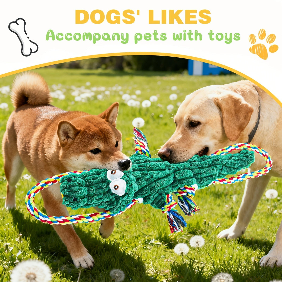 Jouet à mâcher pour chien en forme de crocodile avec couineur intégré – Corde en coton durable et jouet de traction en toile pour chiens de petite, moyenne et grande taille, nettoyage des dents, jeu interactif, adapté aux mâcheurs agressifs