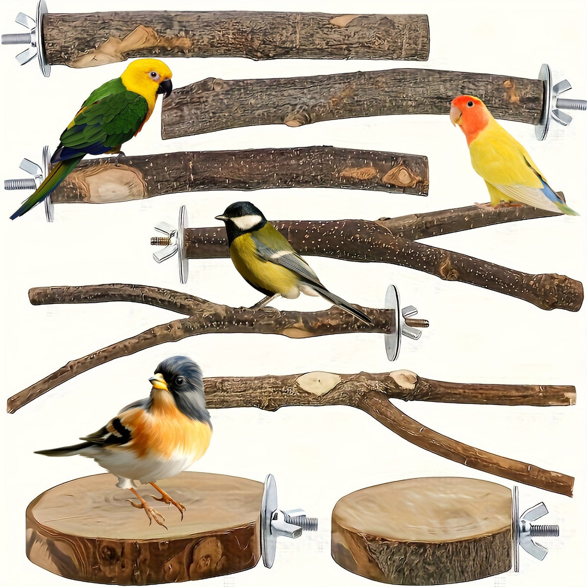Ensemble de 8 perchoirs en bois naturel pour oiseaux, branche de pommier, support à fourches multi-branches, plateforme suspendue, hamac, balançoire pour aras, conures, perruches, ondulées et pinsons
