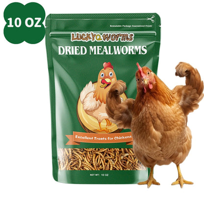 Vers de farine séchés pour poules, oiseaux sauvages et canards – Aliment naturel riche en protéines pour poules, tortues, poissons, lézards et hamsters, nourriture animale séchée sans OGM, plusieurs formats de 0,6 à 40 livres