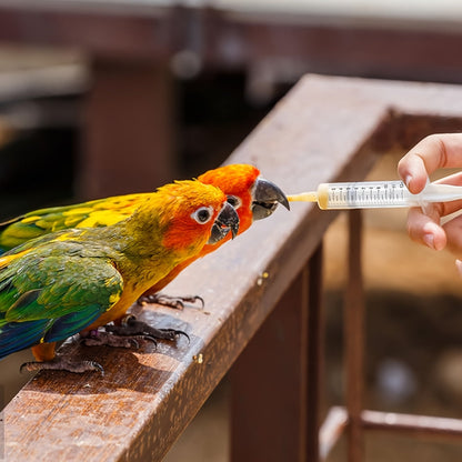 Kit de 6 tubes de seringue pour nourrissage d'oiseaux, kit d'élevage à la main pour oisillons, perroquets et petits animaux, sonde de gavage en plastique avec tube gradué, fournitures pour élevage à la main, usage vétérinaire et laboratoire