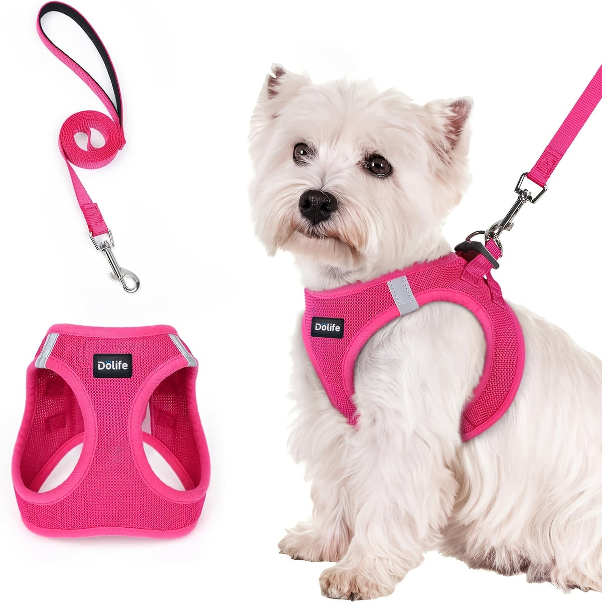 Harnais et laisse pour petits chiens et chiots - Harnais gilet respirant, réfléchissant, doux et léger anti-traction avec laisse assortie XS S M L XL