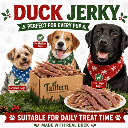 Friandises pour chiens au canard séché, bâtonnets à mâcher à la vraie viande de canard - Collations de dressage faciles à diviser pour chiens de toutes tailles - Récompenses de haute qualité, bâtonnets à mâcher pour le quotidien, format économique.