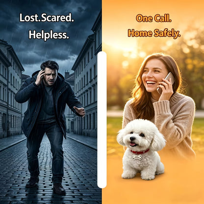 Collier pour chien gravé sur mesure avec plaque d'identification personnalisée gratuite, collier réglable anti-perte pour petits et moyens chiens et chats, matériau durable de qualité supérieure