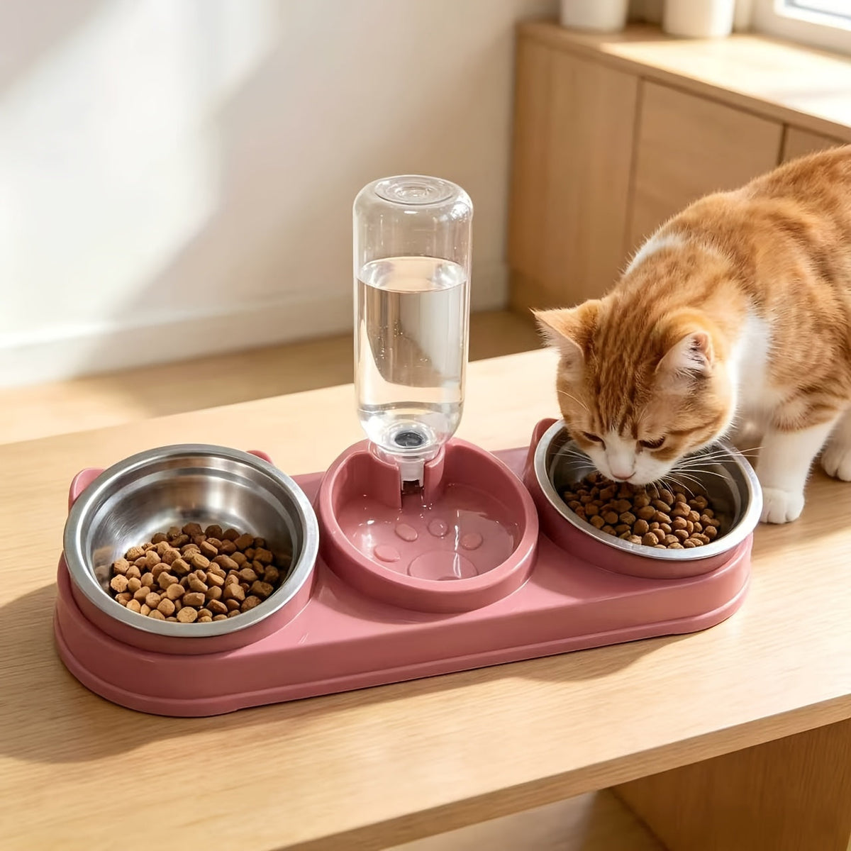 Ensemble de bols pour animaux inclinés et antidérapants – Conception ergonomique inclinée pour chats et chiens, sans pile, favorise une posture saine, station de nourriture et d'eau facile à nettoyer pour animaux d'intérieur