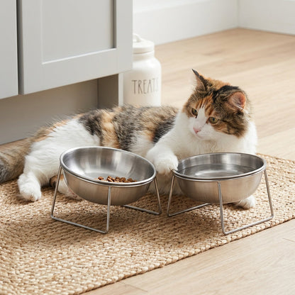 Ensemble de gamelles surélevées pour chien et chat – Gamelles inclinées à 15° en acier inoxydable avec support, design ergonomique anti-étouffement pour petits chiens et chats – Ensemble de 2 gamelles avec support