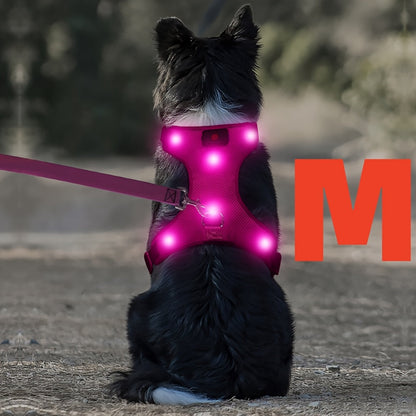 LED Light Up Dog Harness No Pull - Rechargeable Washable Glowing Dog Vest Harness with Detachable Battery for Safe Night Walking and Camping, 4 Colors & Sizes S M L for Small Medium Large Dogs