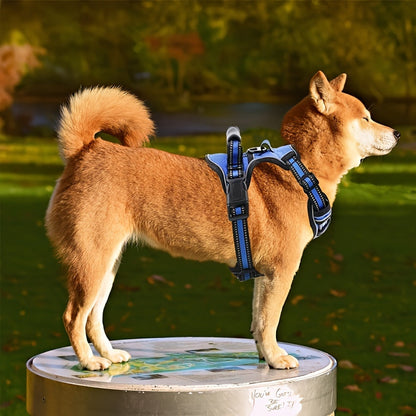 Ensemble harnais anti-traction et laisse 6-en-1 pour chien – Gilet réfléchissant en tissu Oxford sans étranglement avec double attache de laisse et poignée de contrôle facile pour chiens petits, moyens et grands, 5 couleurs, du XS au XL