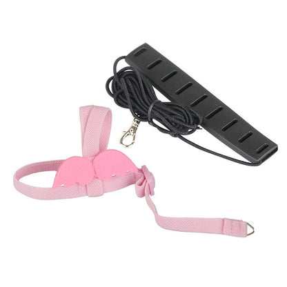 Harnais et laisse réglables pour perroquets - Laisse d'entraînement douce anti-évasion pour conures, calopsittes, inséparables, perruches et petits perroquets - 2 m de long, laisse de marche extérieure pour oiseaux, rose et bleu