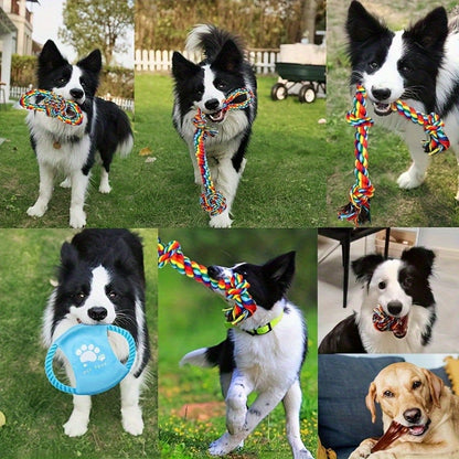 Lot de 6 jouets à mâcher indestructibles pour chien - Jouets de traction robustes pour chiens de taille moyenne, grande et géante, ensemble de jouets de dentition pour mâcheurs agressifs, laisse arc-en-ciel incluse