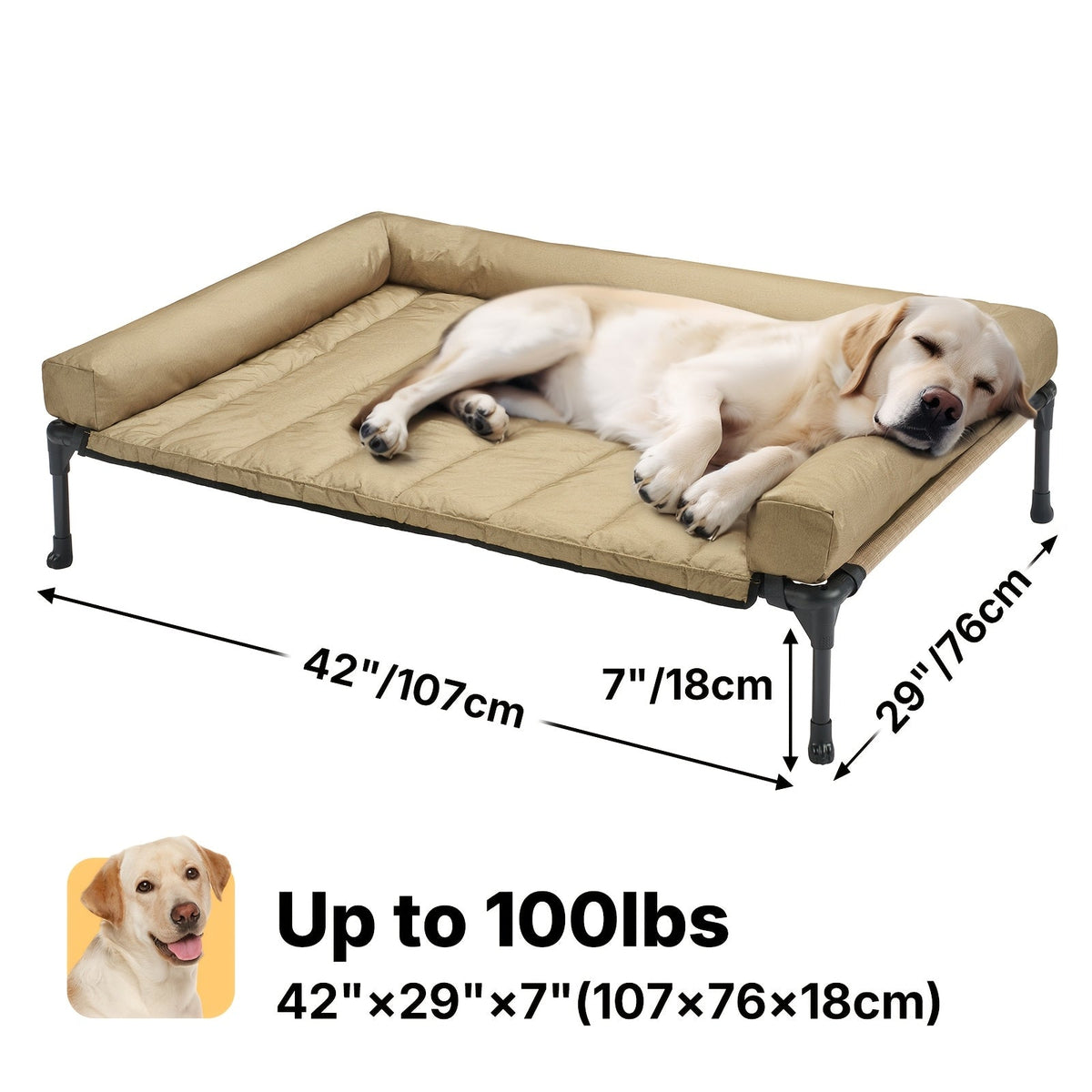 Lit surélevé rafraîchissant pour chien avec matelas amovible – Canapé pour chien surélevé avec rebords, filet respirant et pieds antidérapants pour une utilisation en intérieur et en extérieur