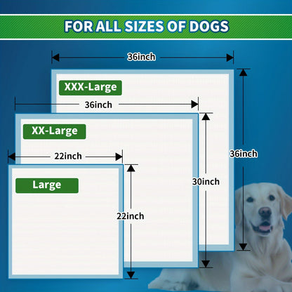 Alèses jetables pour chiens – Tapis d'apprentissage de la propreté améliorés, anti-odeurs et anti-fuites, ultra-absorbants pour le dressage à domicile, 120 unités 22"x22" / 50 unités 30"x36" / 40 unités 36"x36"