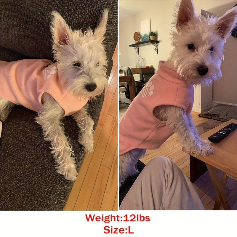 Pull chaud d'hiver pour petits et moyens chiens - Vêtements en tricot doux pour automne, hiver et printemps, pull confortable pour animal de compagnie, tenue d'extérieur et d'intérieur pour temps froid