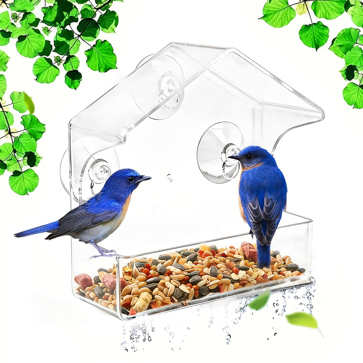 Mangeoire à oiseaux transparente en acrylique avec ventouses - Nichoir transparent pour jardin extérieur, facile à nettoyer, mangeoire pour observer les oiseaux de près depuis vos fenêtres