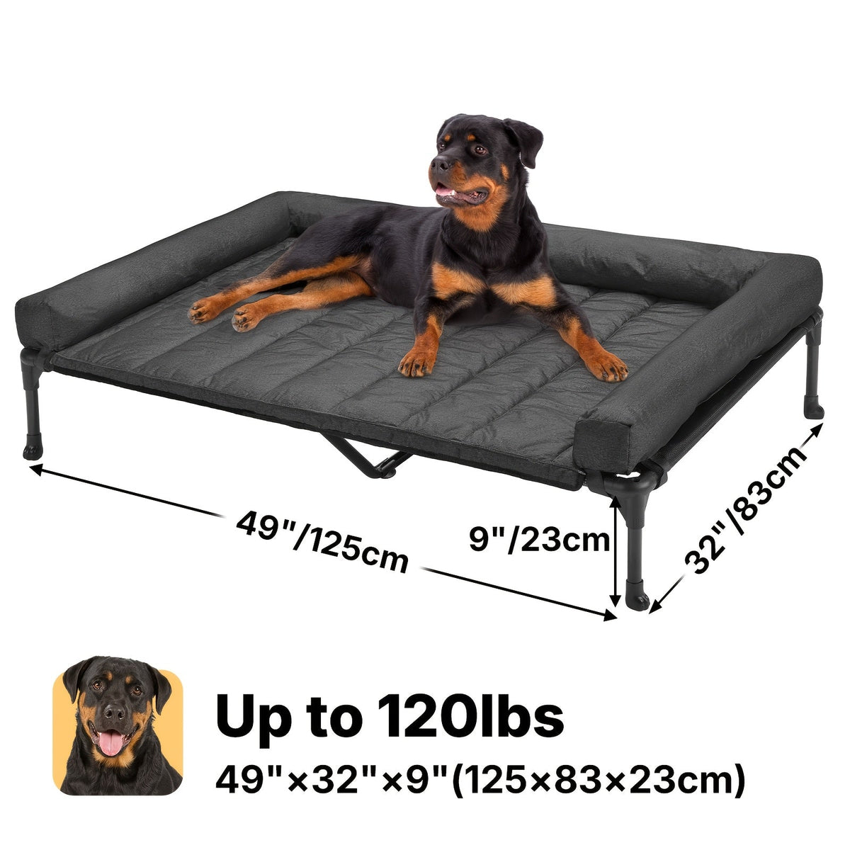 Lit surélevé rafraîchissant pour chien avec matelas amovible – Canapé pour chien surélevé avec rebords, filet respirant et pieds antidérapants pour une utilisation en intérieur et en extérieur