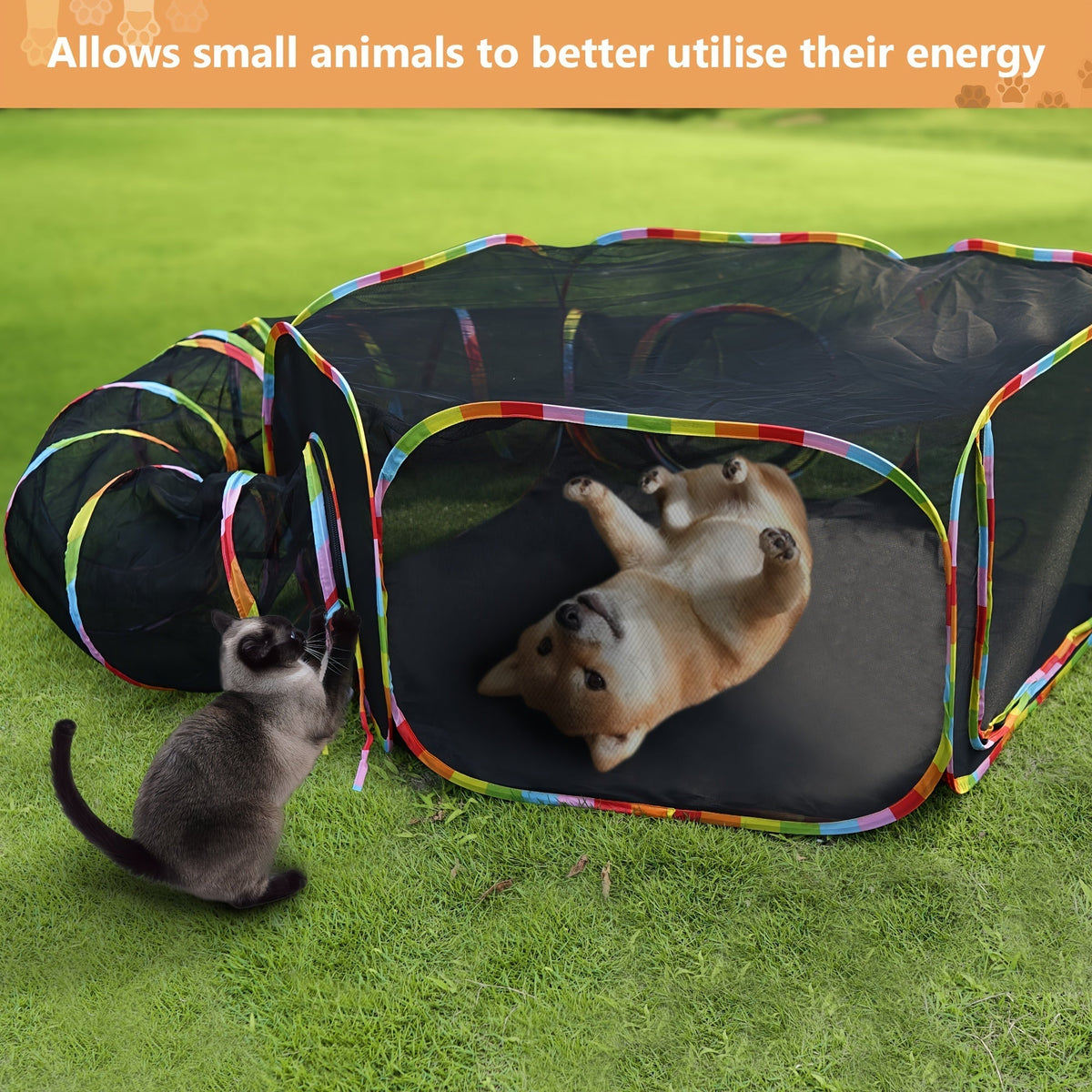 Parc pour chat Rainbow, enclos extérieur pour chat avec tunnel circulaire et tente pop-up portable, aire de jeu pliable pour chats, chatons et petits animaux, usage intérieur et extérieur