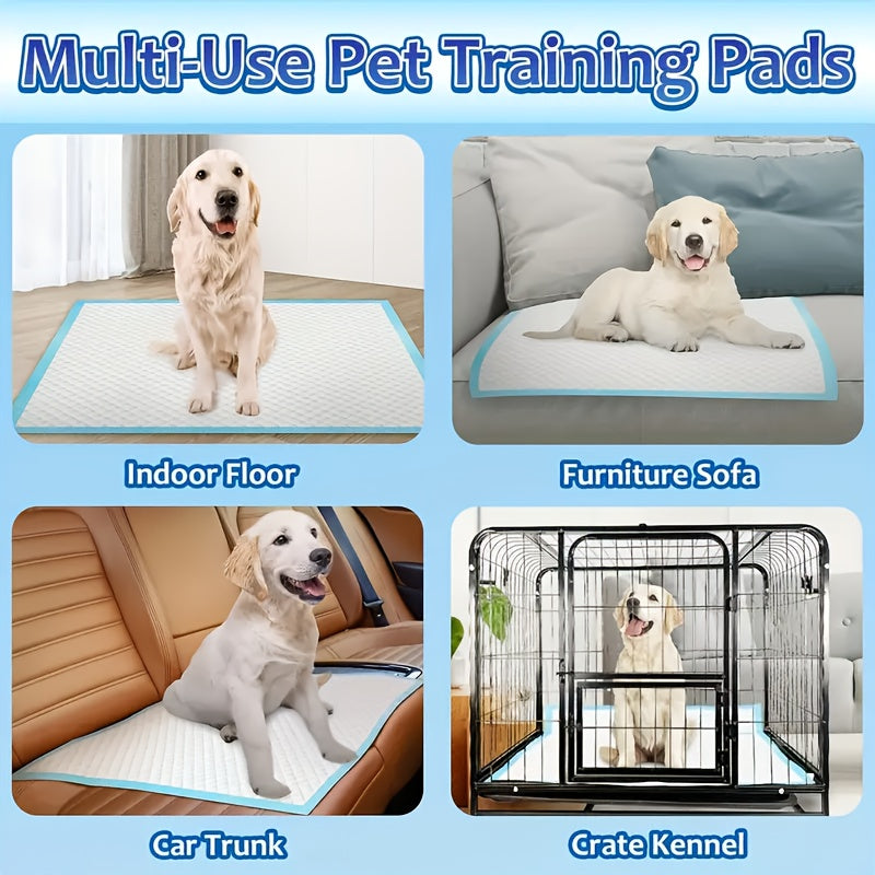 XXXL Disposable Dog Pee Pads 6-Layer Super Absorbent - Waterproof Odor-Resistant Training Pads for Small Large and Elderly Dogs, Bulk 80 & 100 Count, Leak-Proof Puppy Potty Pads