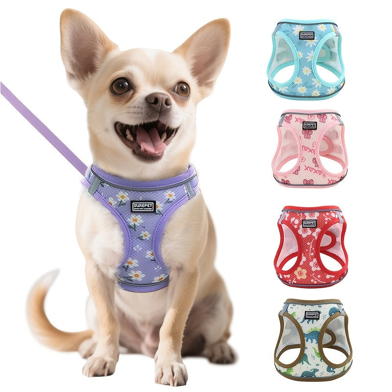 Ensemble harnais anti-traction et laisse pour chiens de petite à moyenne taille - Harnais gilet réglable en maille douce et réfléchissante pour chiots, pour la marche, la course et le dressage, harnais pour animaux anti-fugue