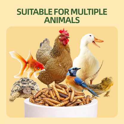 Larves de mouches soldats noires séchées pour poules – 43 % de protéines et 85 fois plus de calcium que les vers de farine, friandises naturelles sans OGM pour poules pondeuses, canards, cailles, oiseaux et reptiles, 2 lb / 5 lb / 10 lb