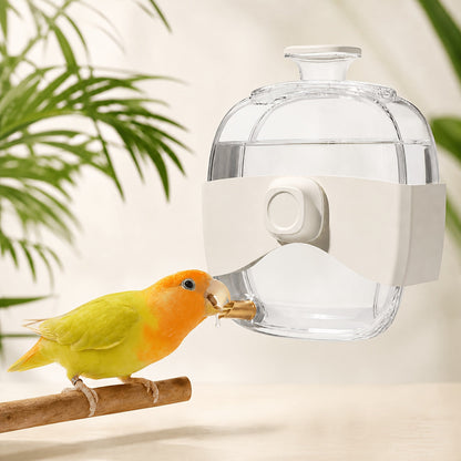 Bouteille d'eau pour cage à oiseaux – Abreuvoir anti-goutte grande capacité de 440 ml avec embout à aiguille en métal pour calopsittes, perruches, inséparables et petits oiseaux, mangeoire anti-goutte fixable à la cage