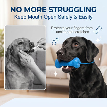 Lot de 2 bâtonnets de dentition et brosses à dents pour chien - Brosse à dents durable à mâcher avec sangle d'ouverture de gueule pour un brossage facile, jouet de soin dentaire à double usage pour chiens, couleur aléatoire