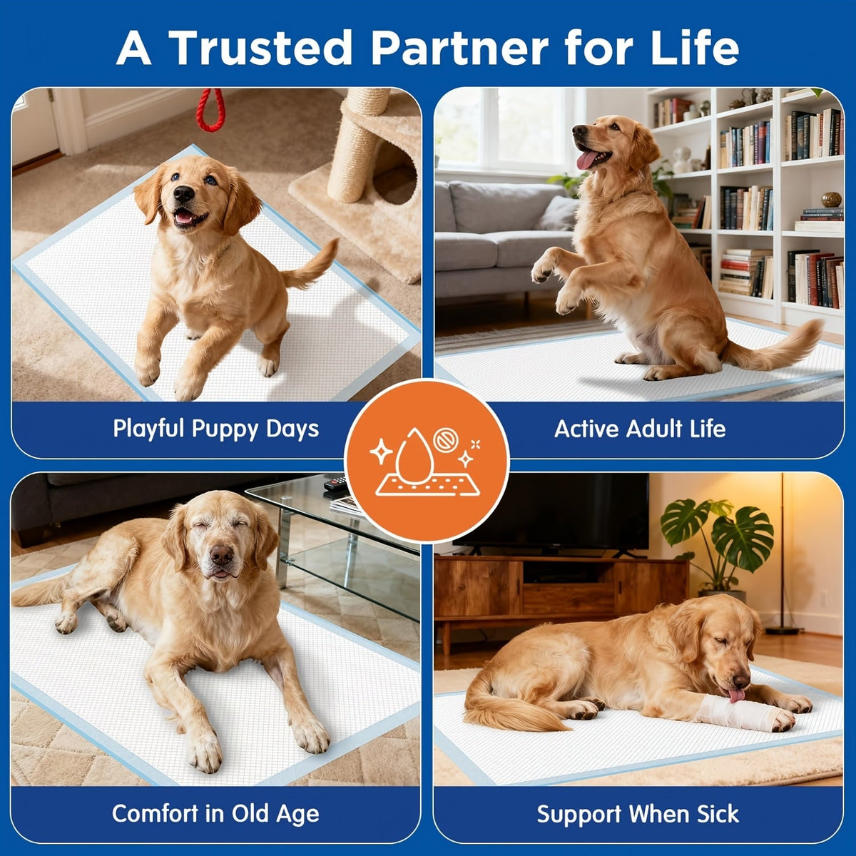 Alèses pour chiens extra larges 147 x 81 cm, lot de 40, tapis d'apprentissage jetables pour chiots, ultra-absorbants et anti-fuites, pour chiens, chats et incontinence adulte