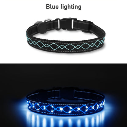 Collier pour chien à broderie LED rechargeable par USB pour la sécurité nocturne – Collier lumineux décoratif avec ajustement réglable pour chiens de petite, moyenne et grande taille, 4 couleurs, tailles S, M, L