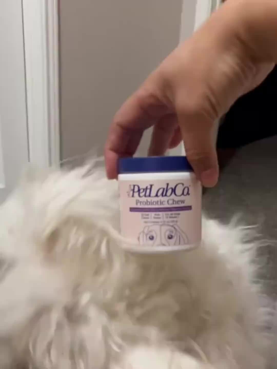 Friandises probiotiques et prébiotiques à mâcher pour chien, ingrédients naturels, soutient la santé intestinale, la digestion et la qualité de vie - 1 paquet ou 3 paquets, meilleur rapport qualité-prix