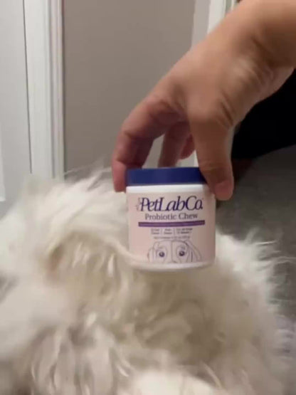 Friandises probiotiques et prébiotiques à mâcher pour chien, ingrédients naturels, soutient la santé intestinale, la digestion et la qualité de vie - 1 paquet ou 3 paquets, meilleur rapport qualité-prix