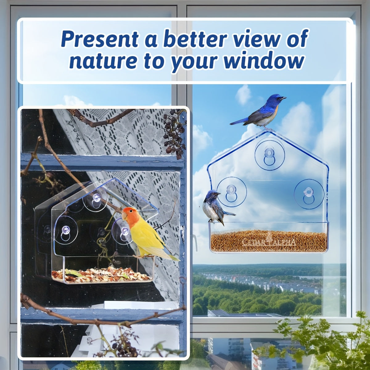 Mangeoire à oiseaux pour fenêtre en plastique transparent avec ventouses puissantes – Mangeoire extérieure transparente pour observer les oiseaux de près, sans pile nécessaire, nichoir de fenêtre durable pour oiseaux sauvages