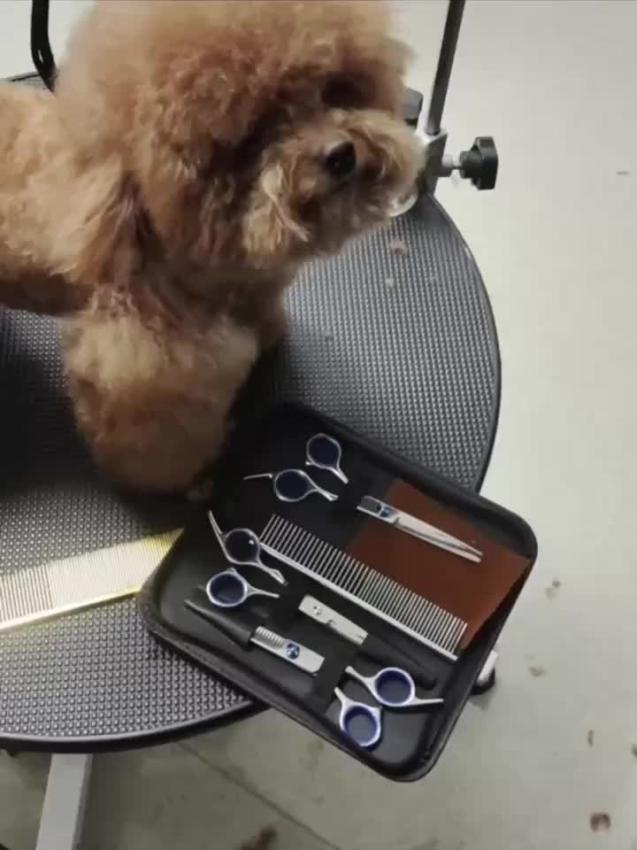 Kit de ciseaux de toilettage professionnels pour animaux 6 en 1 – Acier inoxydable 4CR revêtu de titane, bouts ronds de sécurité, universels pour droitiers et gauchers, ciseaux de toilettage robustes pour chiens, chats et tous les animaux