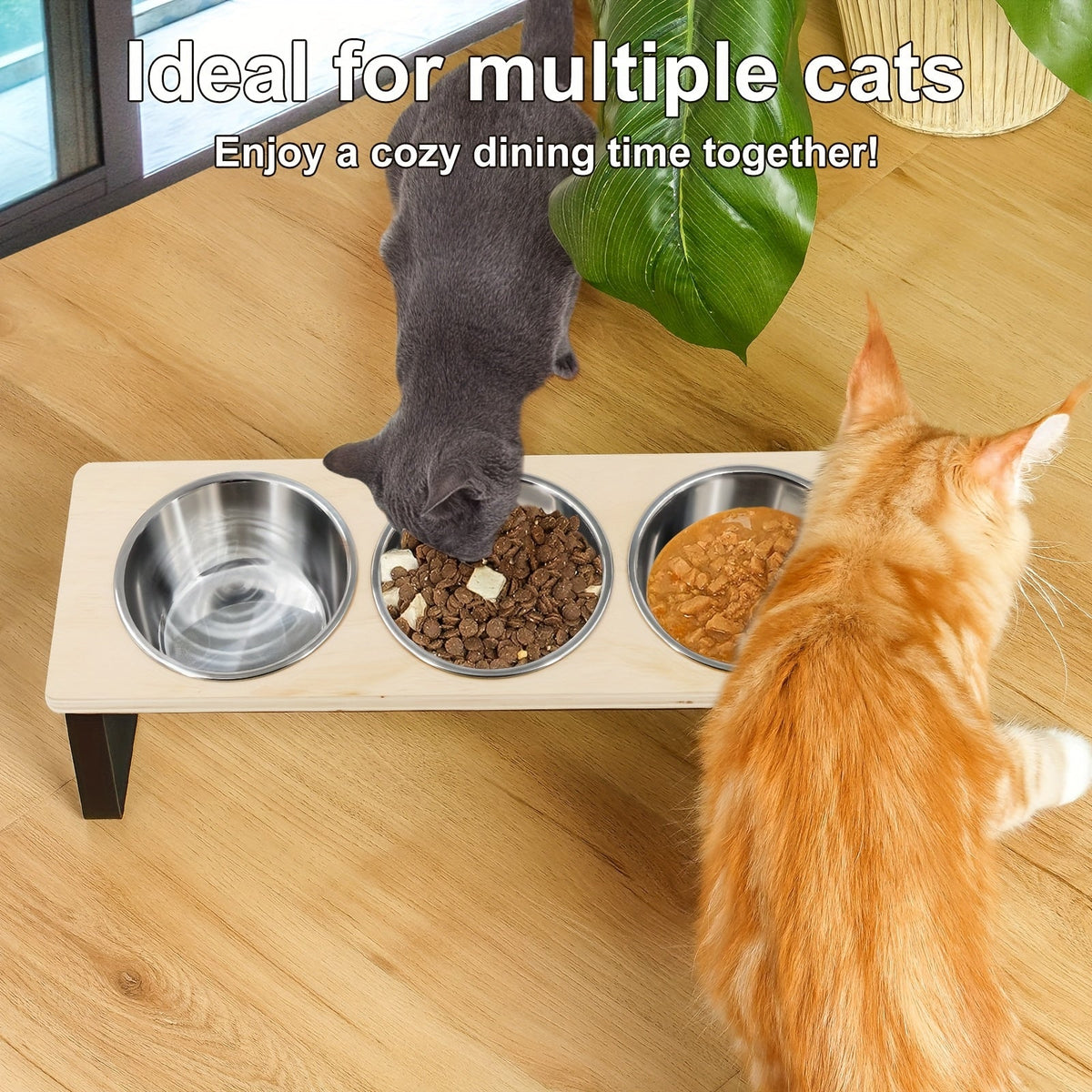 Gamelles surélevées pour chat avec 3 bols en acier inoxydable - Support incliné à 15° anti-vomissements pour chats et petits chiens, ensemble de bols ergonomiques adaptés aux moustaches, accessoire de repas moderne pour animaux