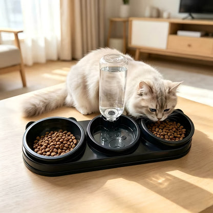 Ensemble de bols pour animaux inclinés et antidérapants – Conception ergonomique inclinée pour chats et chiens, sans pile, favorise une posture saine, station de nourriture et d'eau facile à nettoyer pour animaux d'intérieur