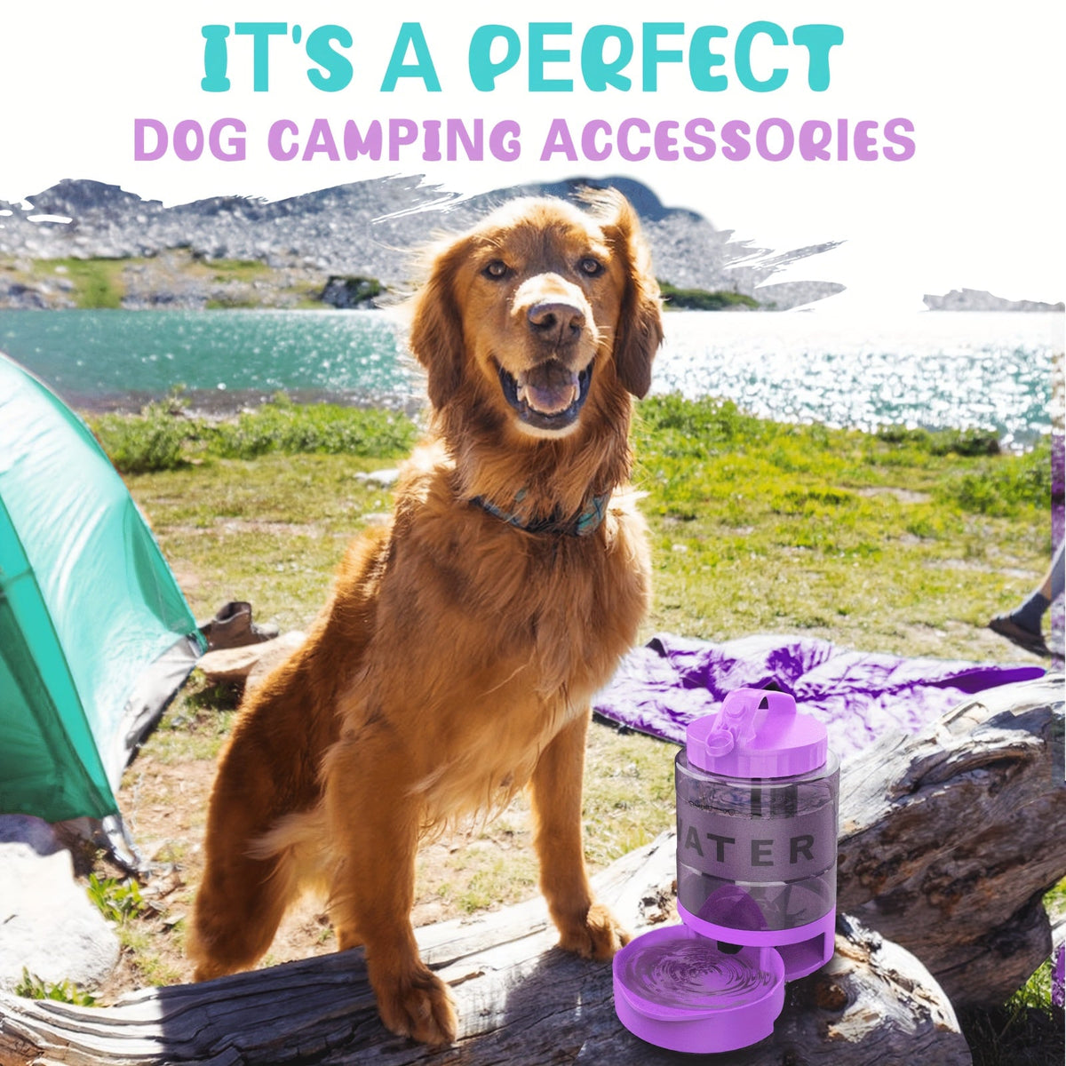 Gourde portable pour chien de 2,2 L avec bol pliable intégré, grande capacité, anti-fuite, idéale pour les voyages, la randonnée, le camping, le parc, pour chiens de toutes tailles